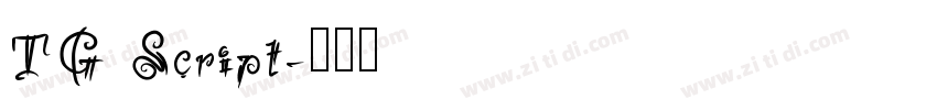 TG Script字体转换
